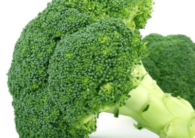 Steamed – Broccoli