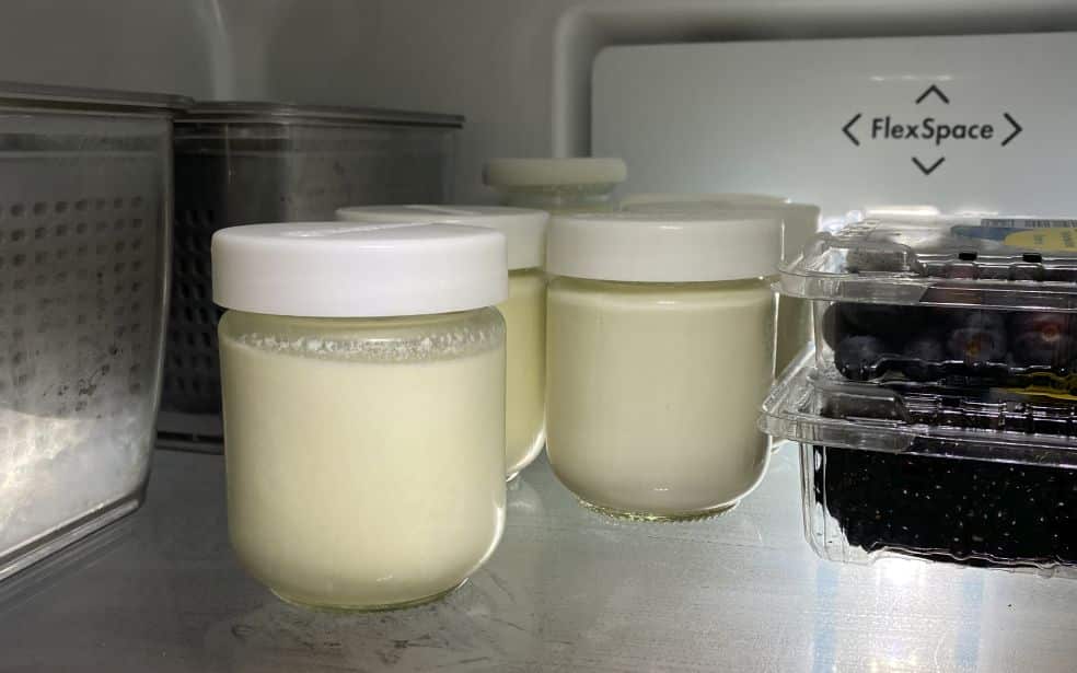 Making Natural Yoghurt